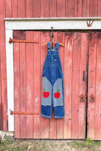 Red Apple Overalls 1/13